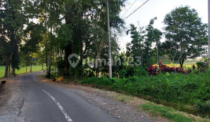 Dijual Tanah Lokasi Desa Subamia Tabanan Dekat Terminal Pesiapan dan Pusat Kota View Sawah