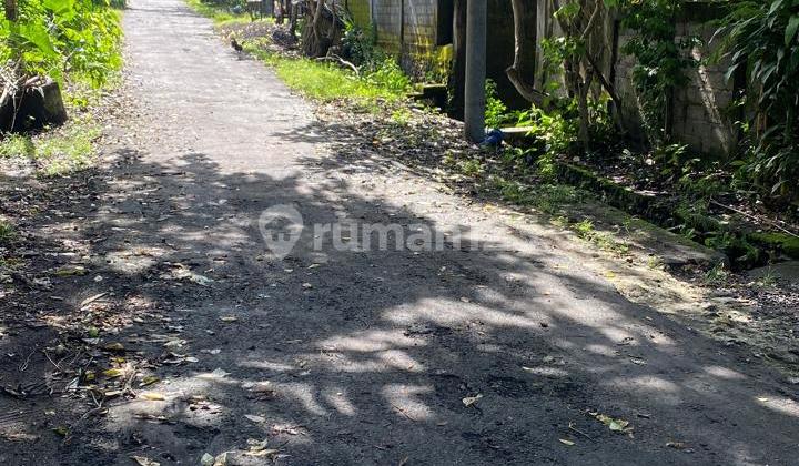 Dijual Tanah Jalan Gunung Andakasa Tegal Dukuh Penamparan Padangsambian Kaja Denpasar Barat Dijual Tanah Jalan Gunung Andakasa Tegal Dukuh Penamparan Padangsambian Kaja Denpasar Barat