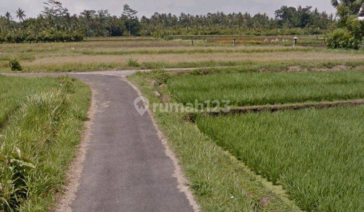 For Sale A Plot of Rice Field Land Located Near Telaga Tunjung Dam, Tabanan 2