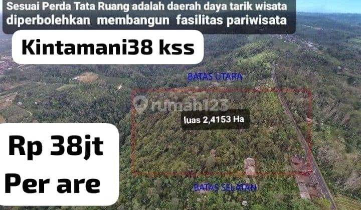 Tanah Kebun pinggir jalan catur kintamani Bangli perbatasan Badung 1