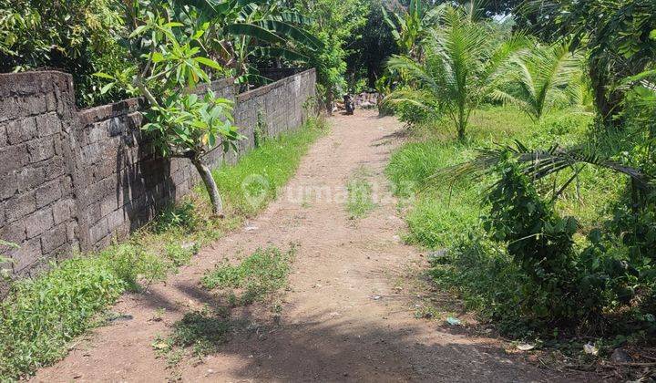 Dijual Sebidang Tanah Kosong View Sawah Dikawasan Gulingan Mengwi Badung Bali 2