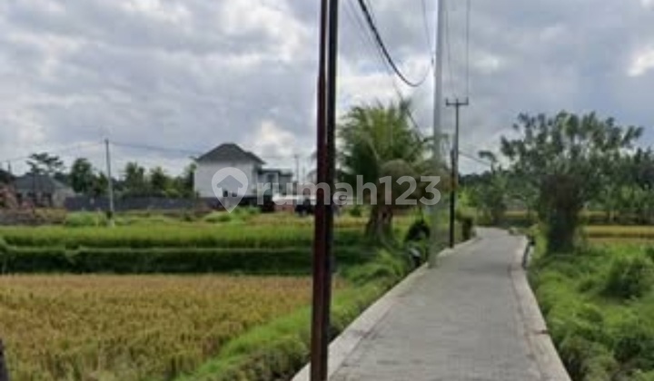 Dijual Sebidang Tanah Dekat Jalan Raya Andong Lokasi Jalan Lanyahan Petulu Ubud Gianyar View Sawah dan Los Sungai