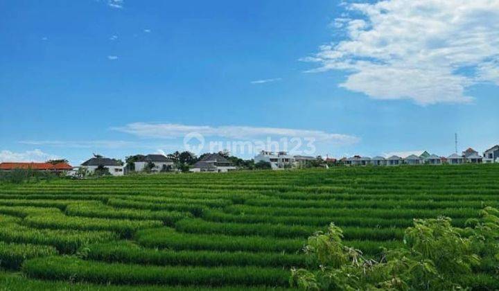 Dijual Tanah Luasan Kecil Lokasi Berawa Jalan Krishnantara View Sawah Los Sungai 1