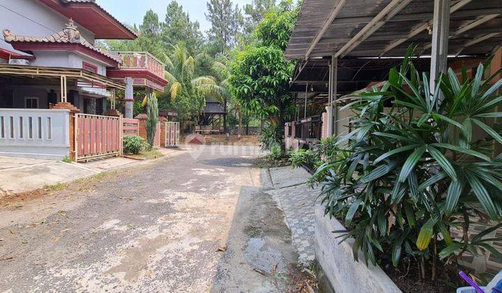 Rumah Siap Huni 1 Lantai Di Cibubur City Cibubur  Bagus 2