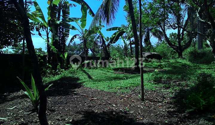 Di Jual Tanah Dan Bangunan Di Cianjur Kota Cugenang Di Jual Tanah Dan Bangunan Di Cianjur Kota Cugenang