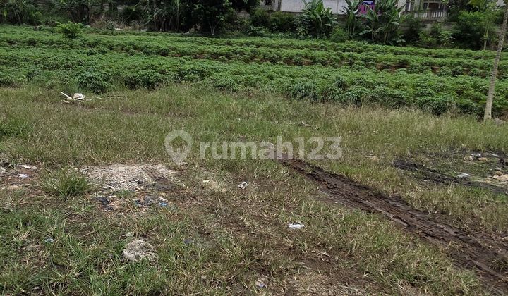 Tanah Di Jual Bagus Untuk Usaha Di Parung Bogor Kemang 