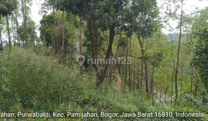 Dijual Tanah di Pamijahan, Bogor