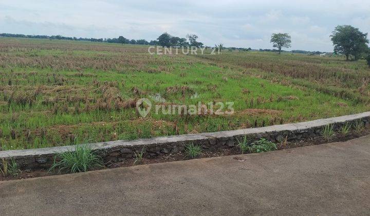 Kavling Nambo Ada Ijin Industri 26ha Bisa Sampai 126 Ha Serang B 1