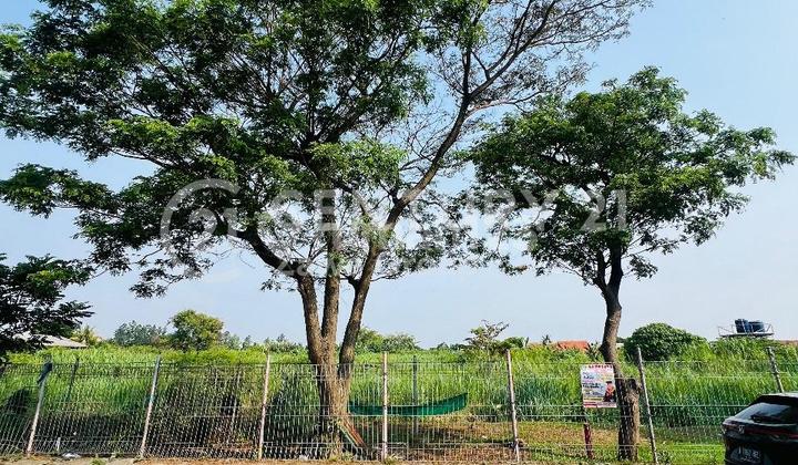 Dijual Murah Tanah Di Belakang Bandara Soekarno Hatta Tangerang