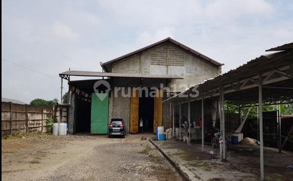 Gudang Raya Bringkang, Kedamaean Gresik 1