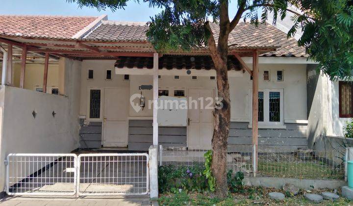 Rumah Bukit Palma Blok E Citraland Utara  1