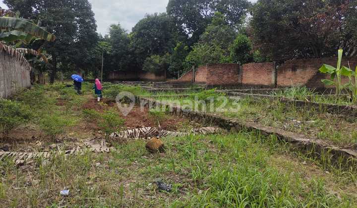 Tanahnya Bagus dan Termurah , Bagus Buat Bikin Cluster atau Perumahan Lokasi Sangat Strategis di Citayam Tanahnya Bagus dan Termurah , Bagus Buat Bikin Cluster atau Perumahan Lokasi Sangat Strategis di Citayam