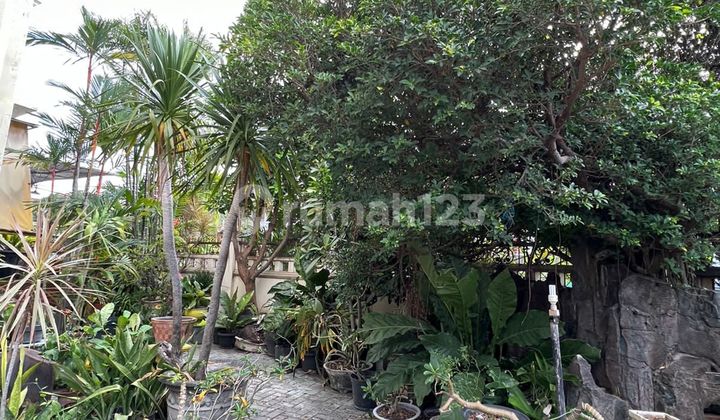 Rumah Manyar Kertoadi Surabaya Siap Huni
