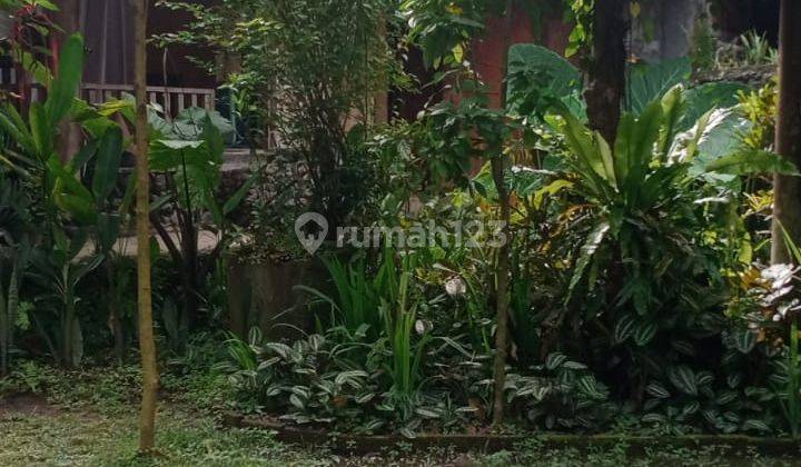 Cheap Villa Calculate Land for sale in the heart of Ubud, Bali 2