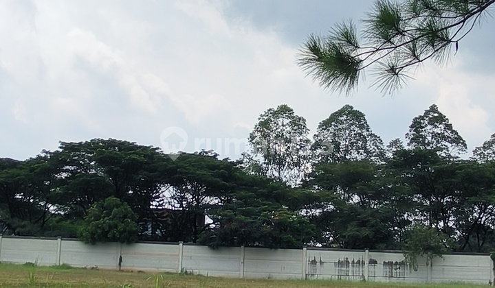 Cheapest For Rent Commercial Lot Commercial Greenwich Bsd Tgr