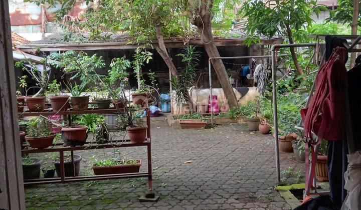 Rumah tua jln Tambak Raya