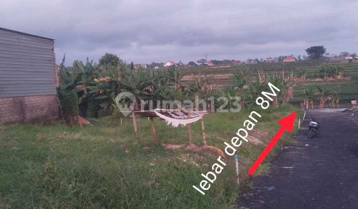 Tanah Di Jalan Raya Munggu Badung Bali Tanah Di Jalan Raya Munggu Badung Bali