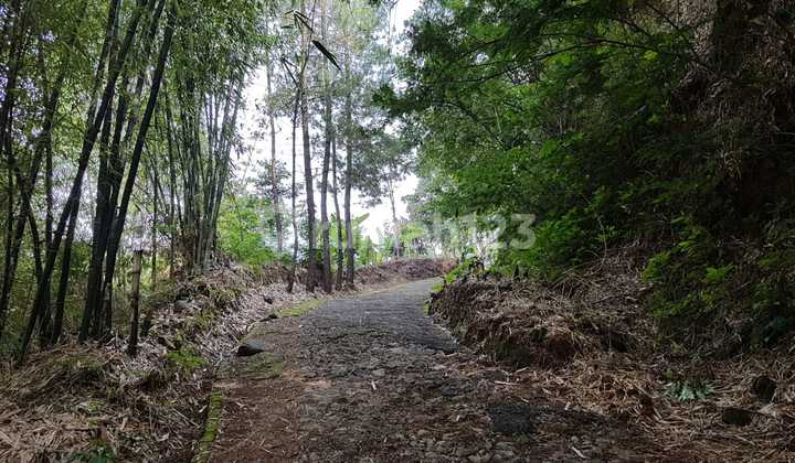 Untuk Tempat Wisata, Hotel, Tanah Mainroad Ciwidey 