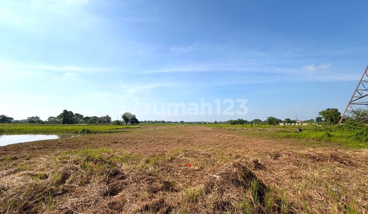 Plot Area 9,855M2 Wide Road Flood-Free Ready to Build in Balaraja Tangerang Plot Area 9,855M2 Wide Road Flood-Free Ready to Build in Balaraja Tangerang