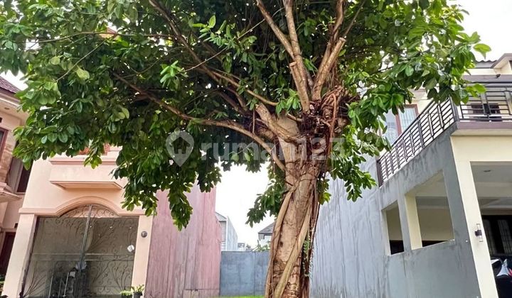 Dijual Kavling Luas 220M² Kemang Bekasi Strategis Siap Bangun Dijual Kavling Luas 220M² Kemang Bekasi Strategis Siap Bangun