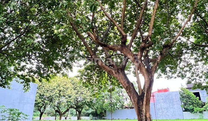 Termurah! Kavling Siap Bangun Luas 377M² Kemang Bekasi