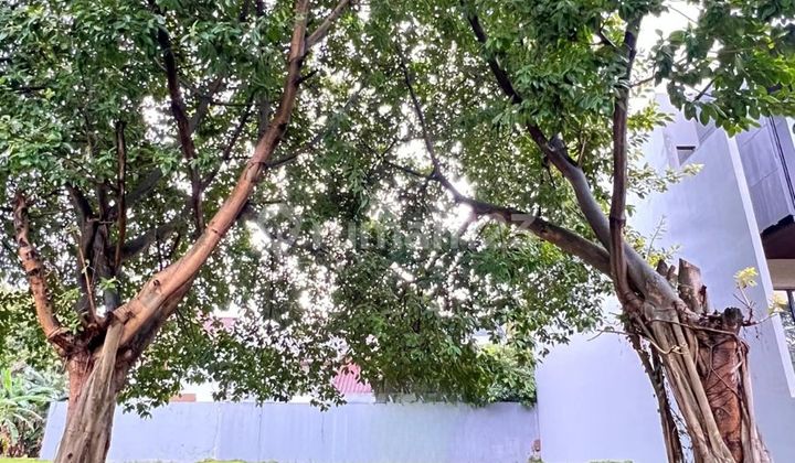 Ready-to-Build Plot Area 236M² Kemang Bekasi Strategic Location