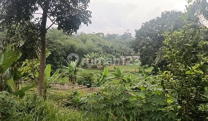 Murah Tanah Luas 11000M2 1,1Ha SHM Pinggir Jalan di Jonggol Bogor