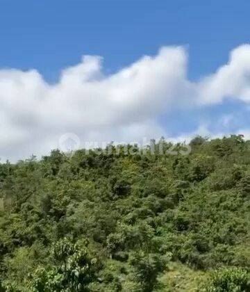 Kavling Lombok Bali 1Ha 9700m2 Dibwh Gunung Dkt Pantai Dan Wisata 2