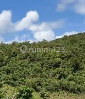 Kavling Lombok Bali 1Ha 9700m2 Dibwh Gunung Dkt Pantai Dan Wisata 1