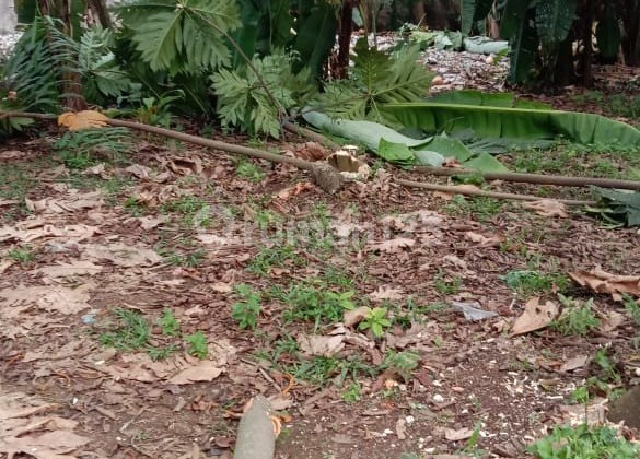 Land Plot Area 2100m2 SHM on Jl Moh Toha Pamulang Ciputat