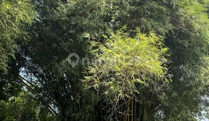 Kavling Hoek Murah 597m SHM Cluster Marseilles Kota Wisata Bogor Kavling Hoek Murah 597m SHM Cluster Marseilles Kota Wisata Bogor