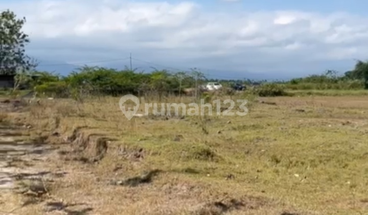 Kavling Besar Kawasan Jembrana Bali, Tersedia Banyak Lot Luas 1000xxxxm2 Kavling Besar Kawasan Jembrana Bali, Tersedia Banyak Lot Luas 1000xxxxm2