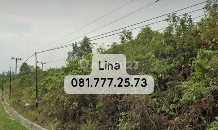 Dijual Cepat Lahan Tanah IKN, Penajam. Kalimantan Timur 1