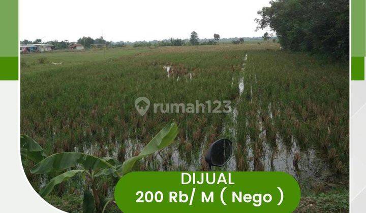 Dijual Lahan Tanah Karawang Luas 9.000 M2. Jawa Barat 1