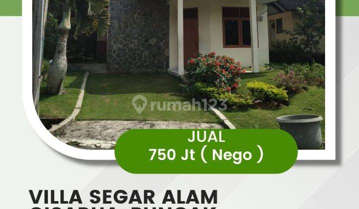 Dijual Villa Puncak Luas 205 M3, Bogor. Jawa Barat 1