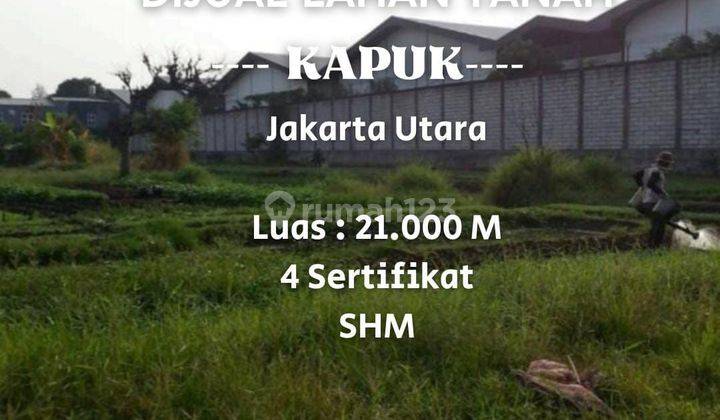 Dijual Lahan Tanah di Kapuk Harga NJOP Lokasi Pergudangan. Jakarta Utara 1