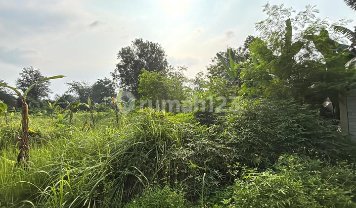 For Sale Plot size 5000m2 West Balaraja SHM (Freehold Title) For Sale Plot size 5000m2 West Balaraja SHM (Freehold Title)