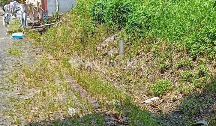 Tanah Shm Luas 170m2 Harga Murah Bisa Nego  2