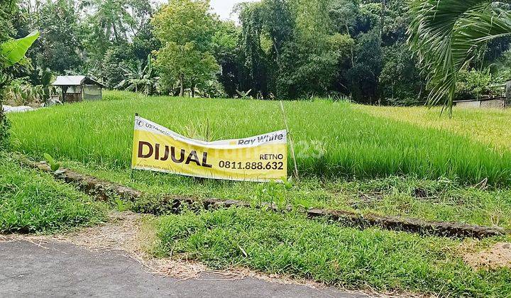 Sawah Dekat Raminten, Jl. Kaliurang Km.17 Sleman 1