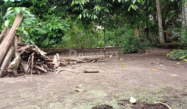 Dijual Tanah Pekarangan Masih Asri Di Seyegan Sleman Yogyakarta. 1