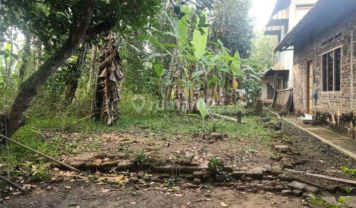 Tanah Pekarangan Murah di Minggir Sleman. 2