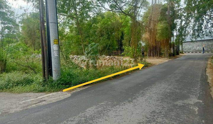 Tanah Sawah Strategis Dekat Jogja City Mall Sleman 2