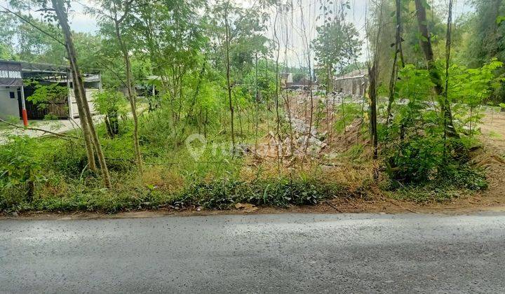 Tanah Sawah Strategis Dekat Jogja City Mall Sleman 1