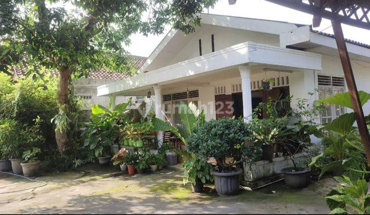 Rumah Berlahan Luas 200 M Ke Jl.damai, Sleman 1