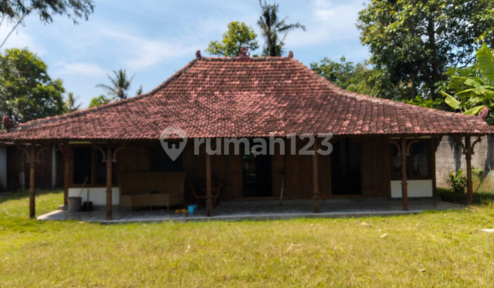 Joglo Homestay Investment & Horse Stable Location Near Parangtritis Road