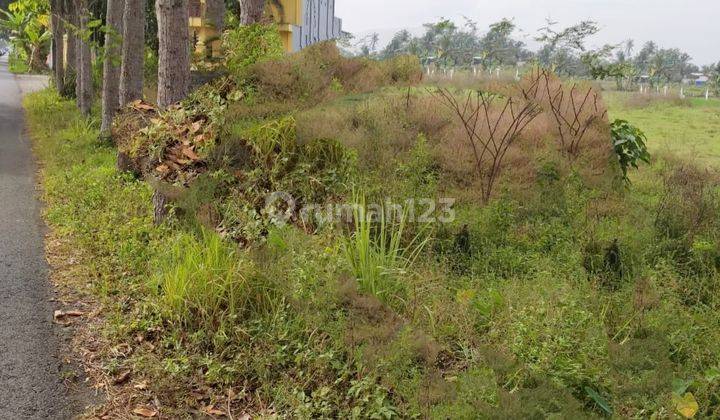 Dijual Tanah Sawah Strategis di Seyegan Sleman 1