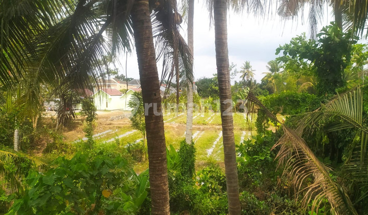 For Rent: 2-Story Shop House in a Strategic Location on Jalan Palagan For Rent: 2-Story Shop House in a Strategic Location on Jalan Palagan