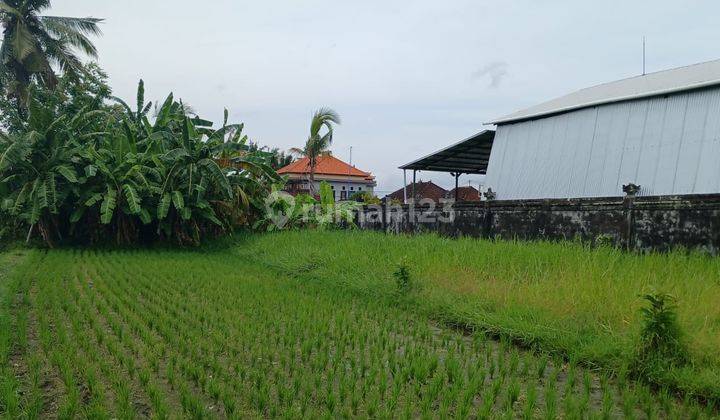 Kavling Luas 600m di Bali Jln Kaba Kaba Kediri Cocok Untuk Villa 1