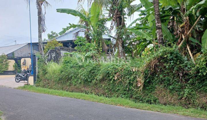 Kavling Luas 600m di Bali Jln Kaba Kaba Kediri Cocok Untuk Villa 2