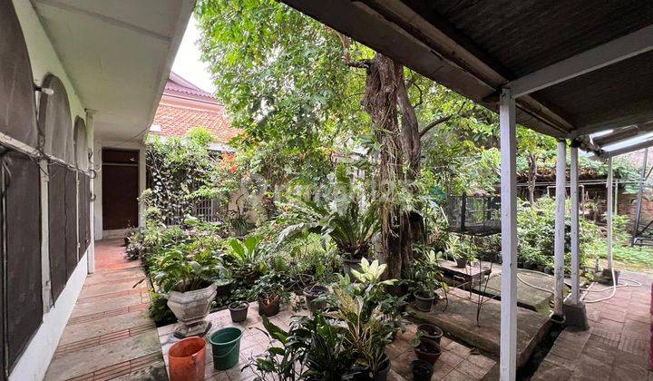 Dijual Cepat Rumah Cocok Utk di Bangun Ulang Untuk Bikin Cluster 2